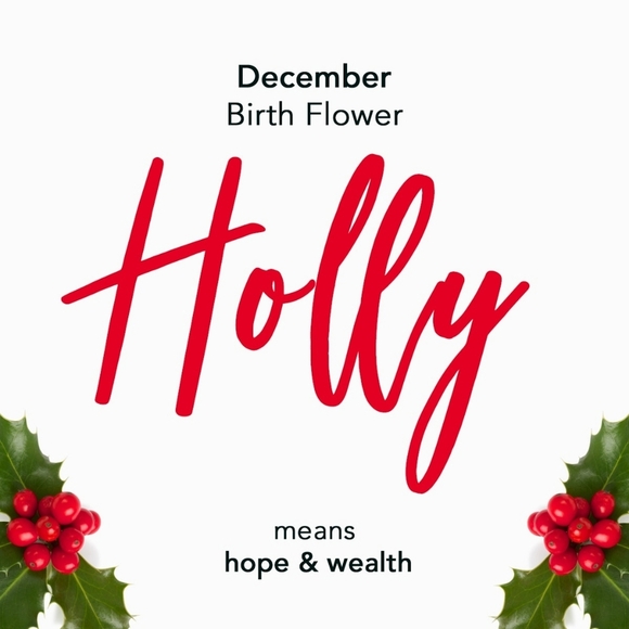 NEW! DECEMBER - Birthstone Necklace & Earring  Set -  December  ocean blue - Picture 8 of 12